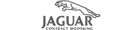 Jaguar Logo